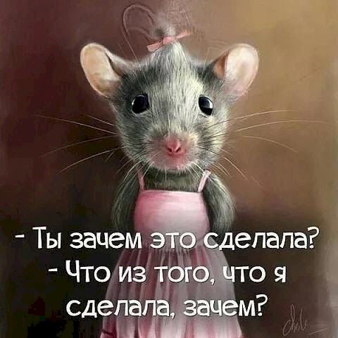 Баянисто-небаянистый юмор 8.01.22