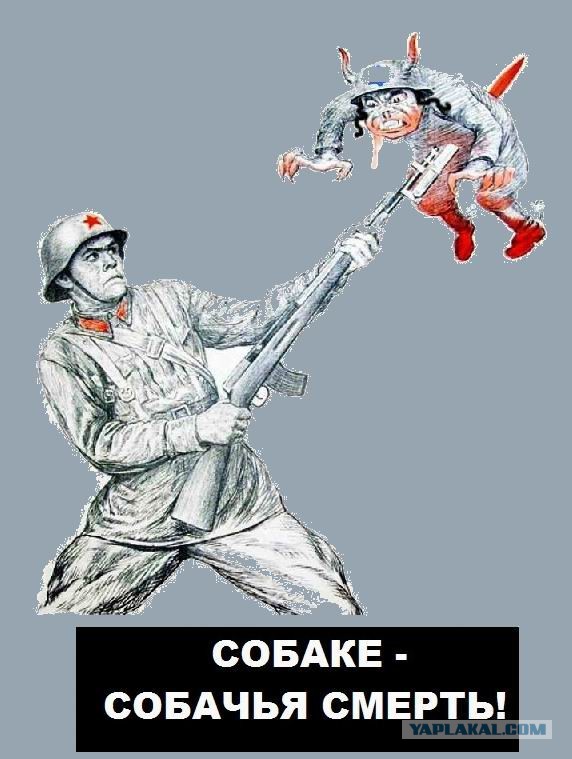 «Немцев тогда не захоронили, просто закопали, как собак»