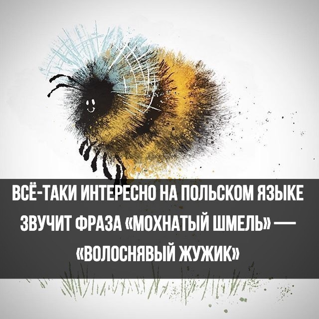 40 картинок разных 04.04.2022