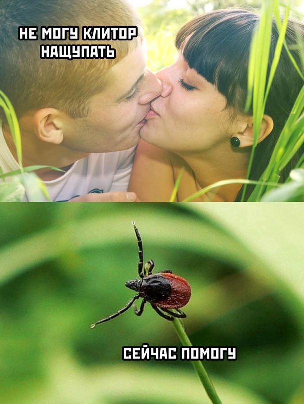 Картинки и мемы, всем хороших выходных
