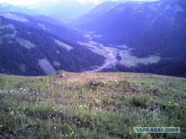Лазаревское
