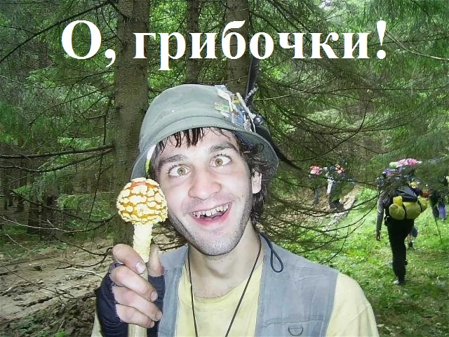 Прикольные и просто красивые картинки 23.12.2022