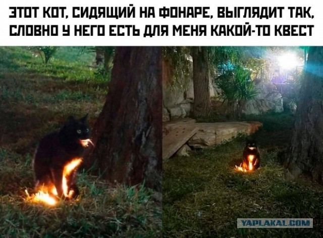 Немного картинок для настроения - 129