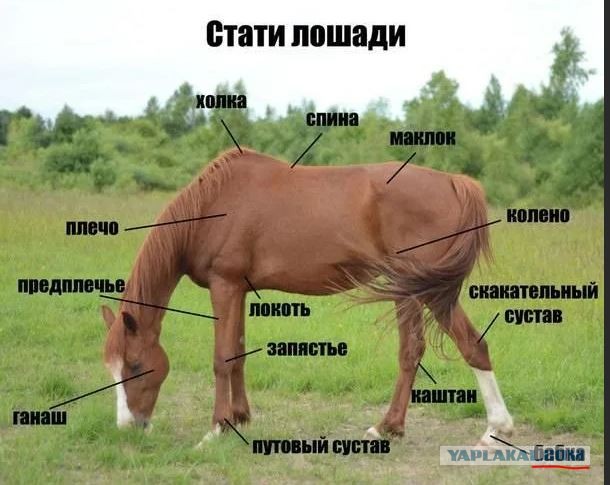 Ушел от жены. Измены. Взгляд любящего мужчины