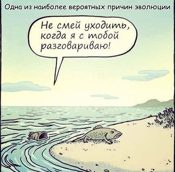 Двойной одеколон