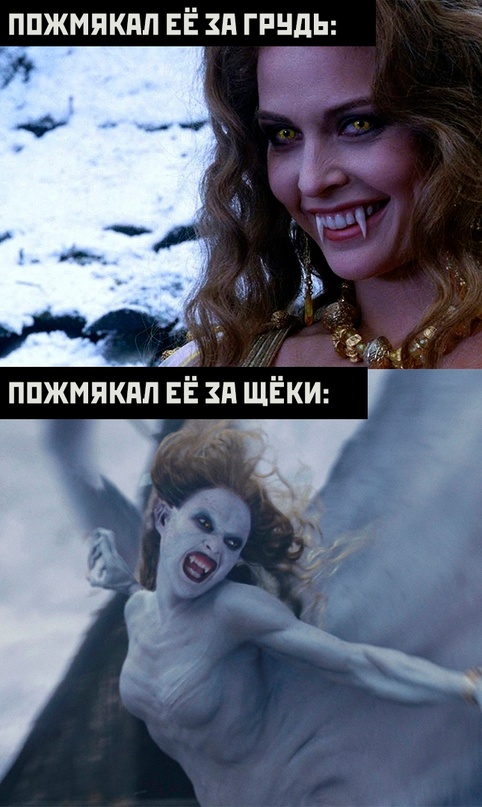 Весёлый полтишок 08.09.23