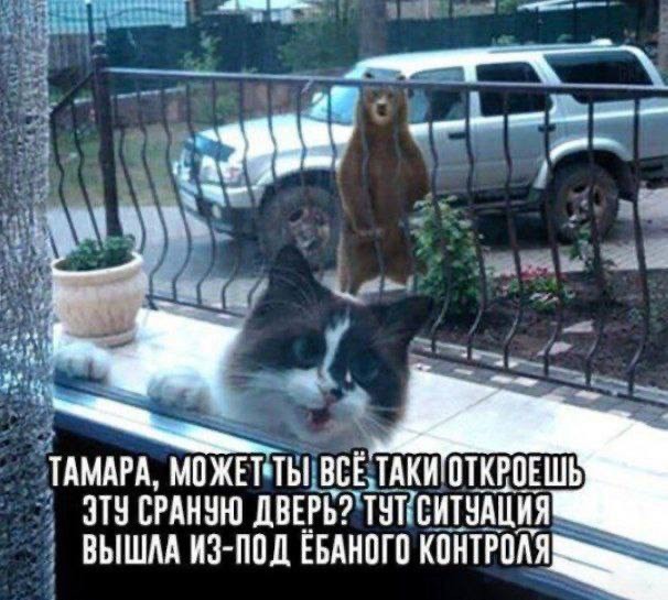 Нуштош 29.09.2023