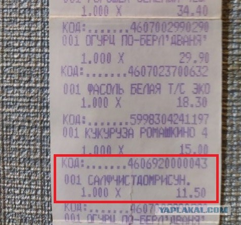 День рождения в 2005 году