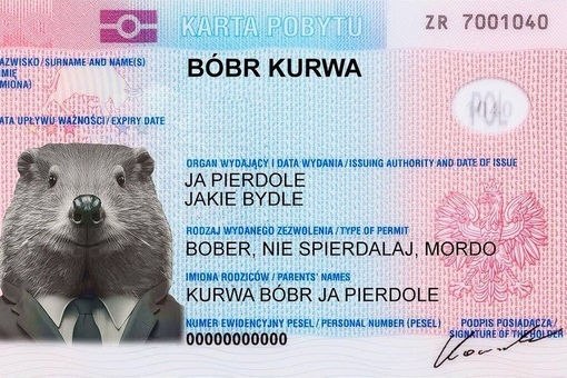 Рататуй kurwa