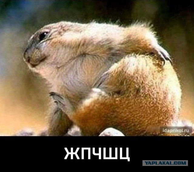 Блоховоз на автомойке