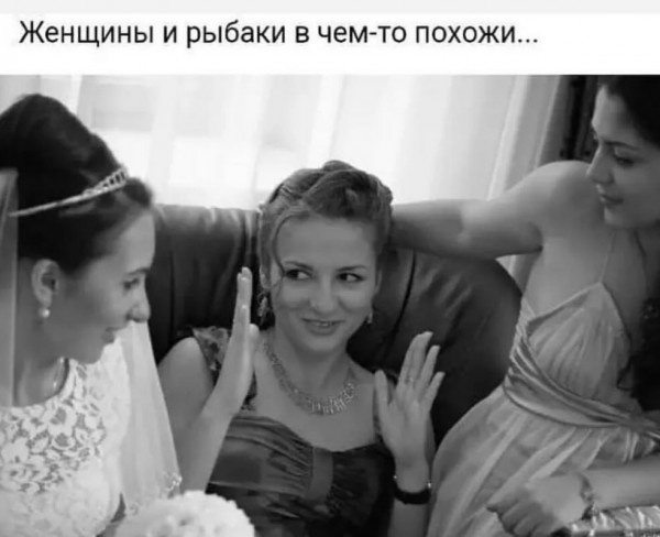 Так себе картинки 12.02.25
