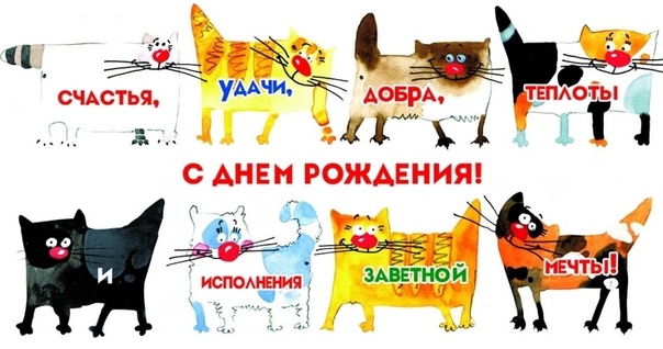 Жизнь домашнего приюта для котеек 532