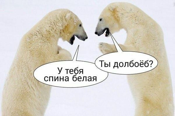 - Официант! У меня холодный суп!