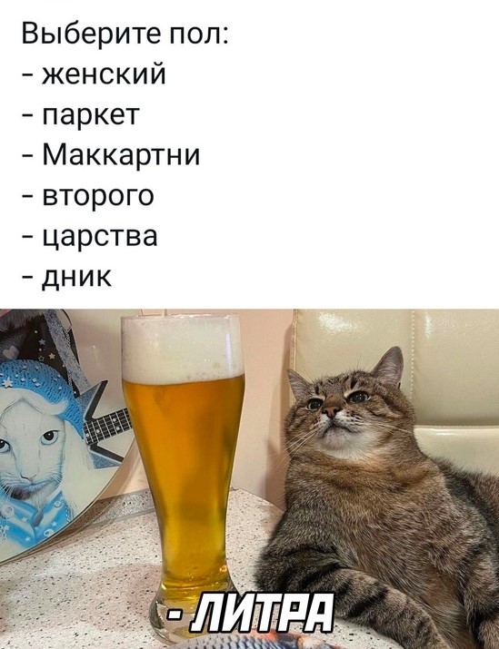 Пивная Пятничная подборка