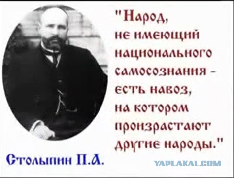 В подмосковном Одинцово началась борьба с новогодними елками