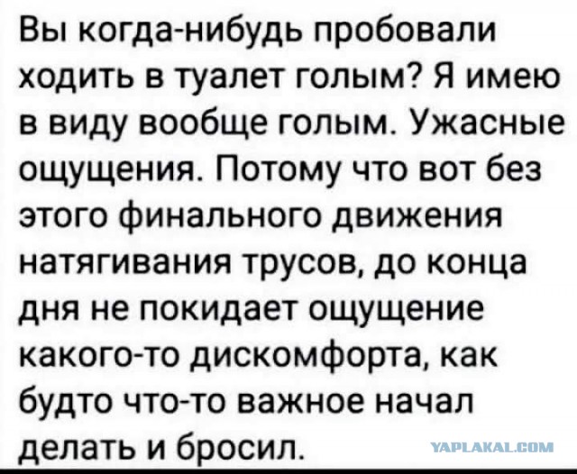 Картинки для деградации 144 (разной степени свежести)