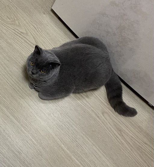 Вы следите за мной?