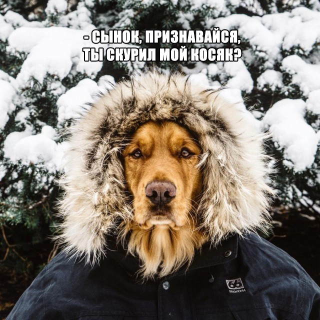 Пятничные картинки