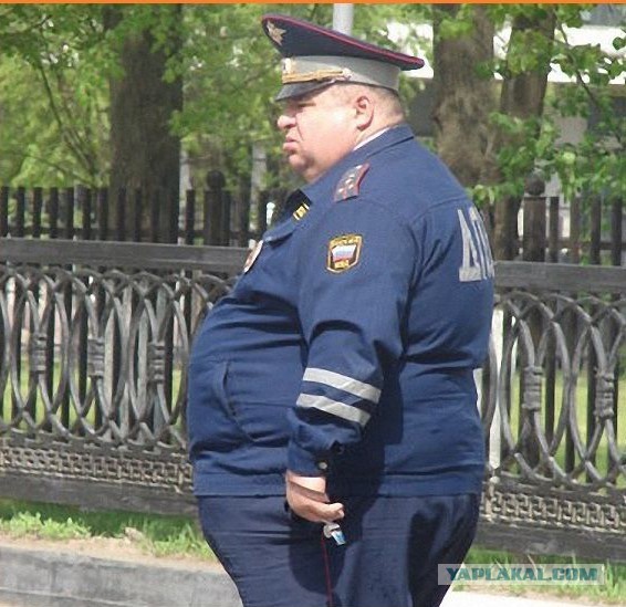 Такие видели машины ДПС?