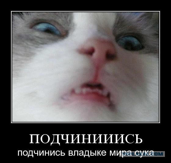 Уделите нам внимание