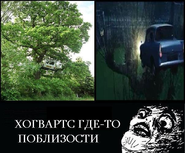 В Хогвардс, шеф!