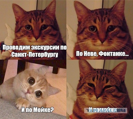 Крутейшая находка в помойке (котовторник)