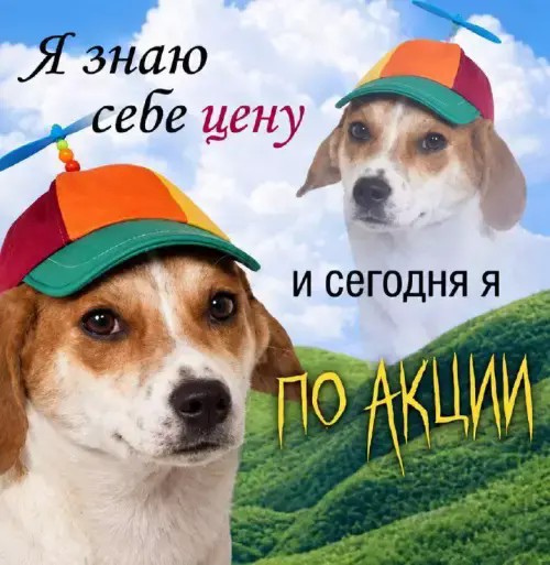 Картинки для деградации 271 (разной степени свежести)