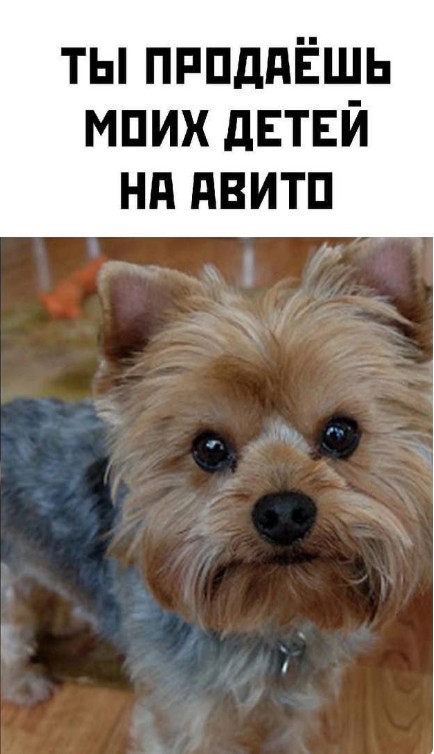 Цветы жизни⁠