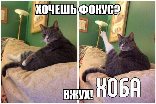 Мэджик
