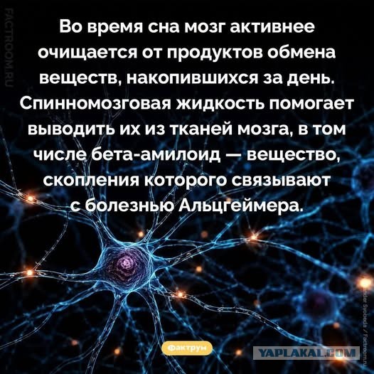 Пятничные бояны