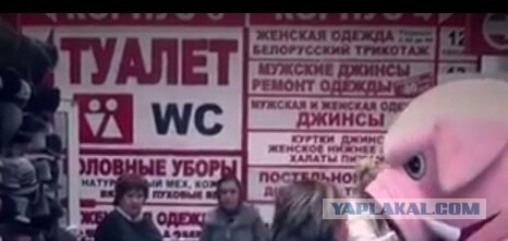 Хрюши Против - Директор игроман