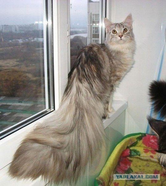 Позитивные картинки