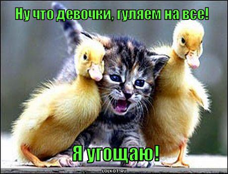 Импровизация, бачата