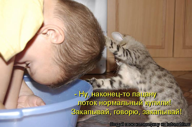 Немного позитива на пятницу.