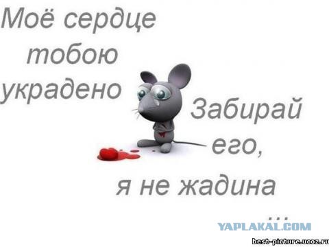 Чёрт, чёрт, чёрт!