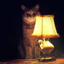 Скоро у ополченцев появится
