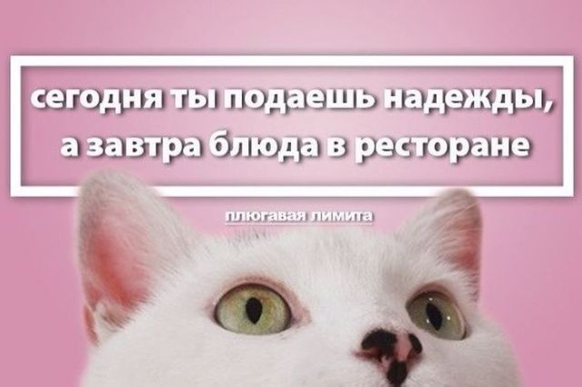 Снова картинки (что-то взгрустнулось)