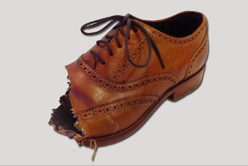 21 повод быть благодарным собаке