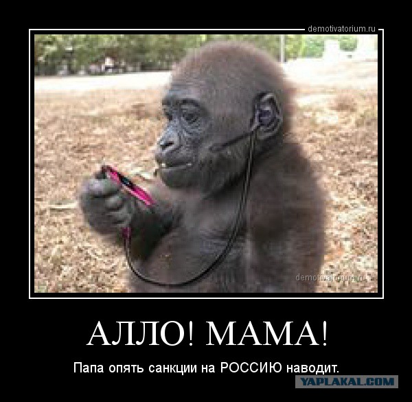Весёлое из сети