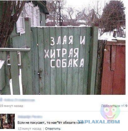 Фотки из инетов