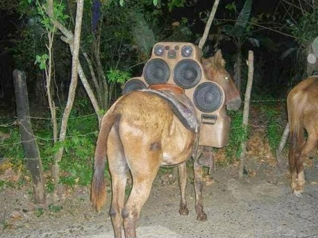 Весёлые картинки