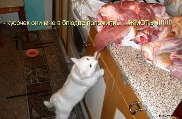 Лапки загребущие