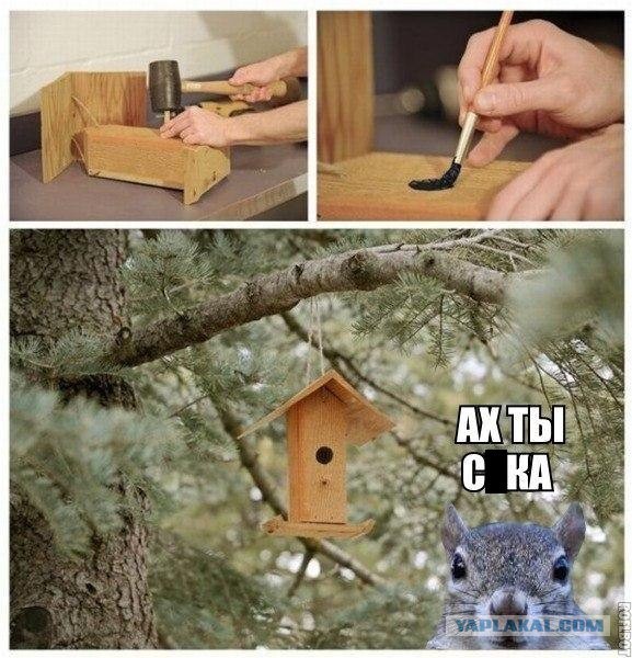 Пятничные картинки