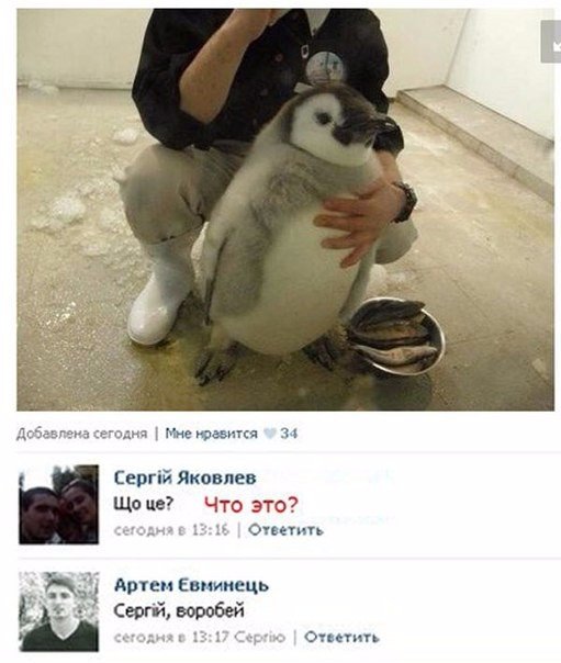Весёлости для настроения