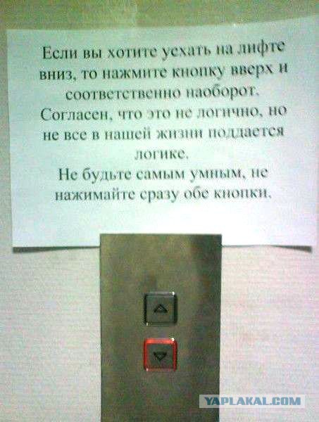 Подборка картинок из соцсетей