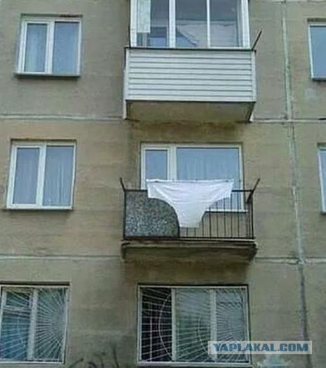 Прикольные картинки из сети
