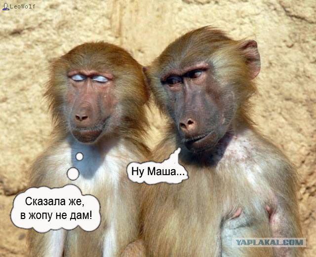 Как надо ходить в темноте.