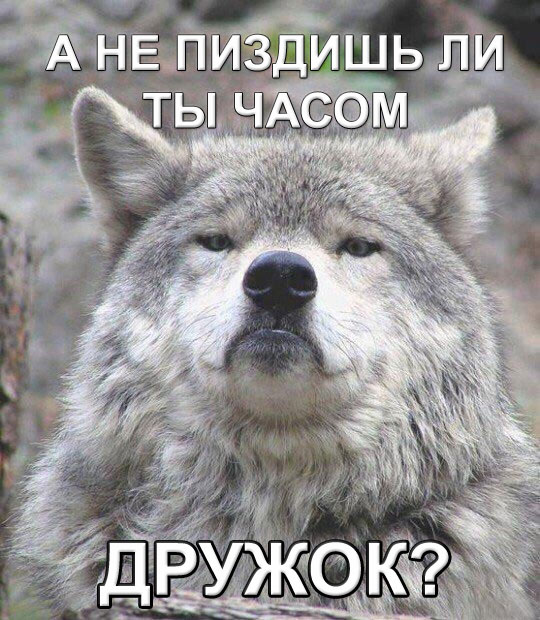 Придет серенький волчок