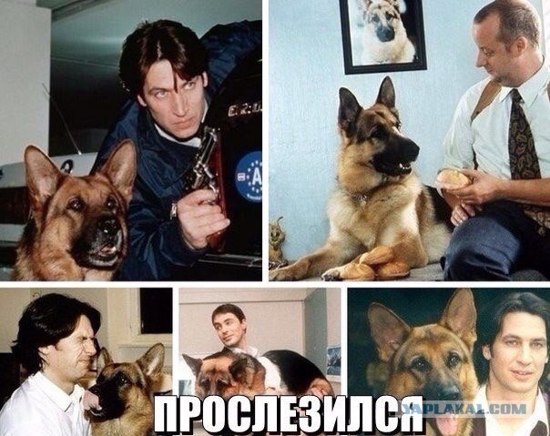 Немного картинок