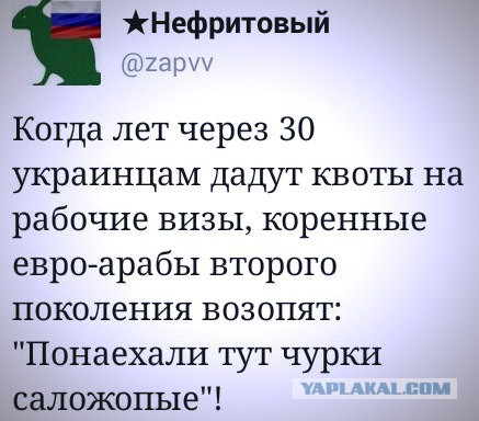 10 политических картинок часть 8